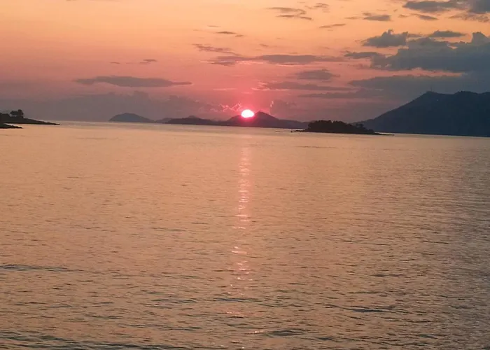 Maria's Sunshine Place